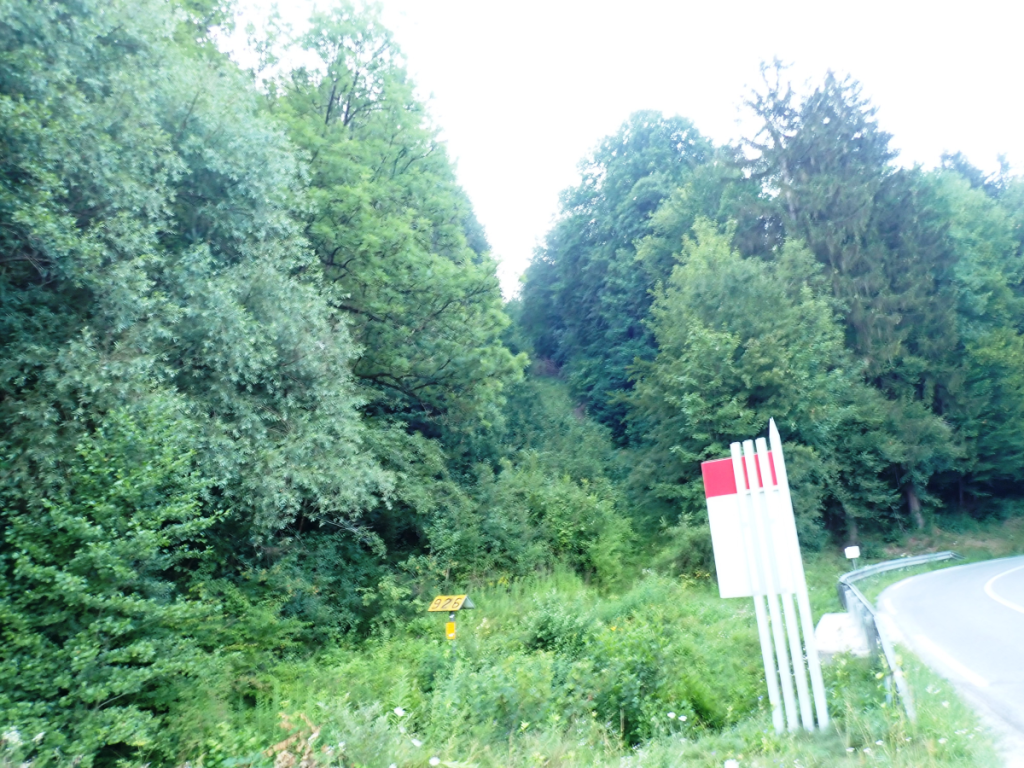 Strma gozdna steza proti regionalni cestii: Gobavci-Posavec