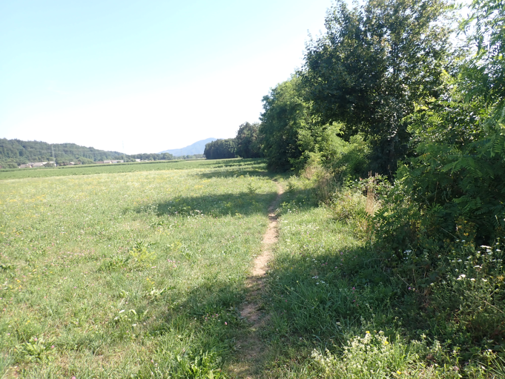 Steza proti turistični kmetiji Trnovc